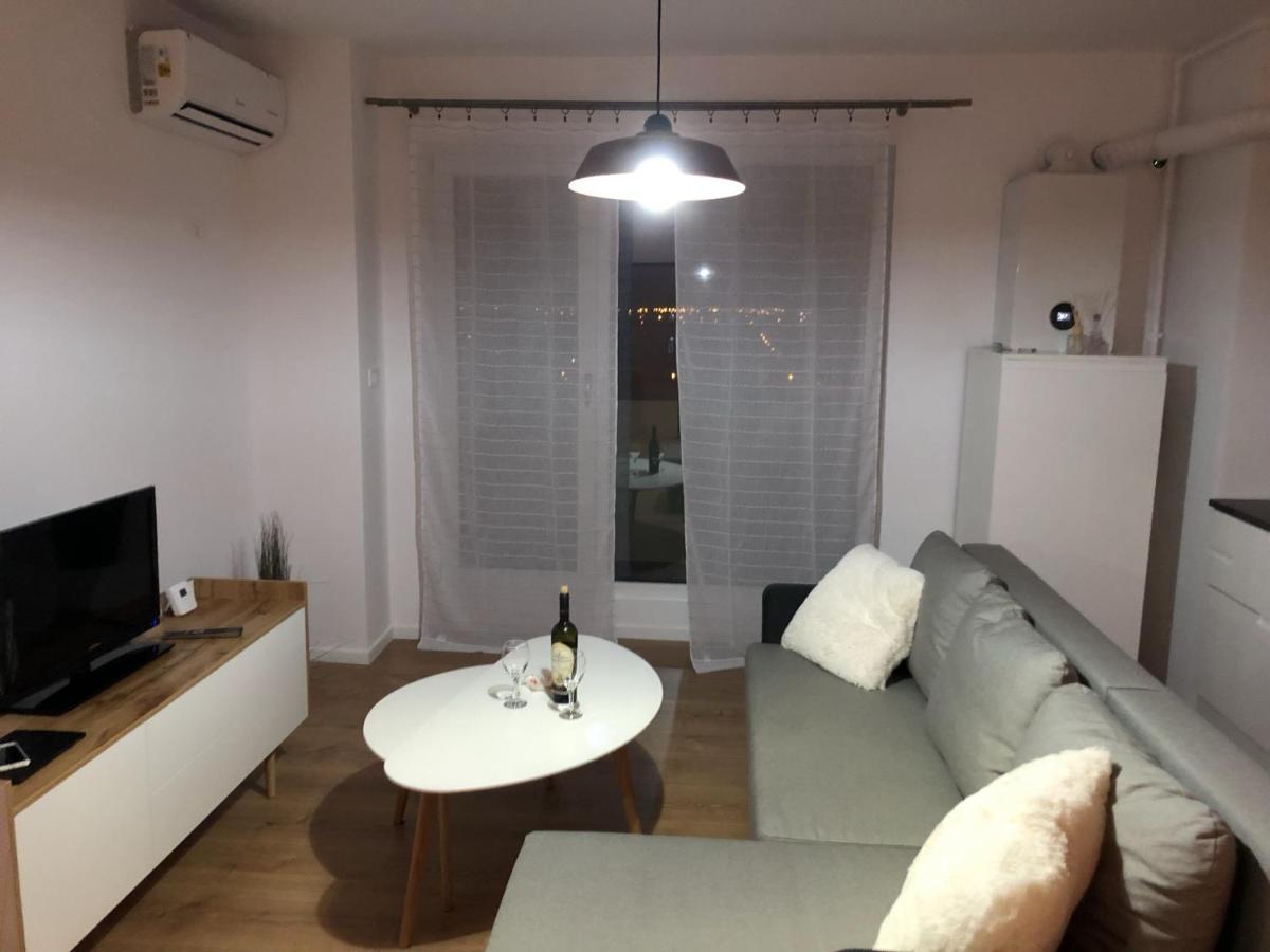 טימישוארה Chronos Apartment - Modern And Stylish מראה חיצוני תמונה